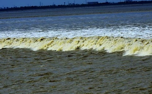 ���^�����̌W(xu��)��(sh��)��c�u��