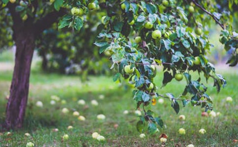 �����x�����@��(y��u)������4ƪ