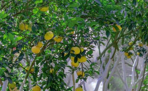 ���@�W������