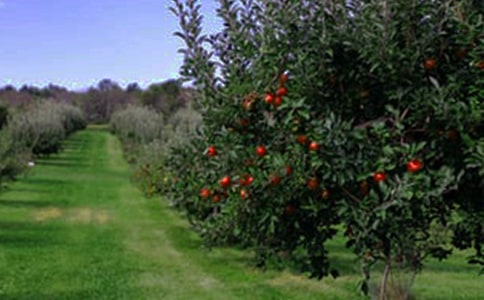 �ھŃԅ��^���@