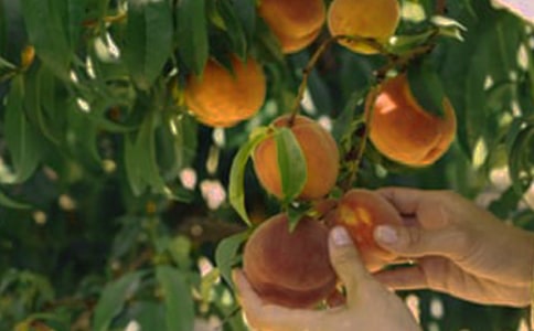 ���@�L������