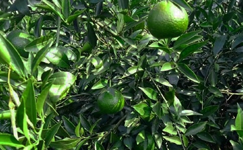 �P(gu��n)�ڹ��@������