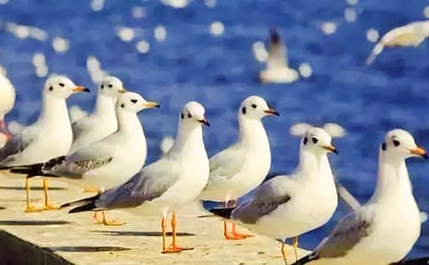 �����꼉�����t