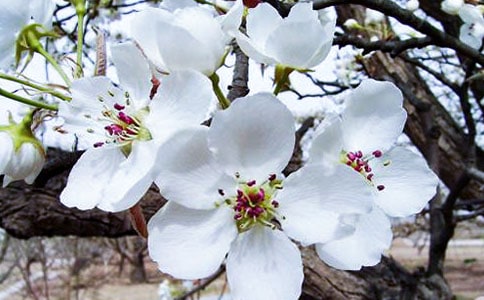 ���~���Ľ�(j��ng)���_�~