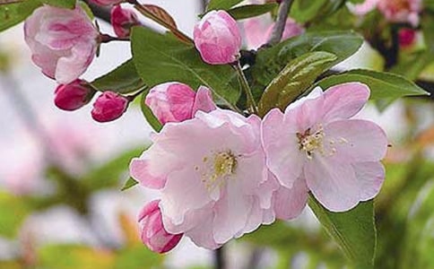 ���ă�(y��u)������[����2ƪ]