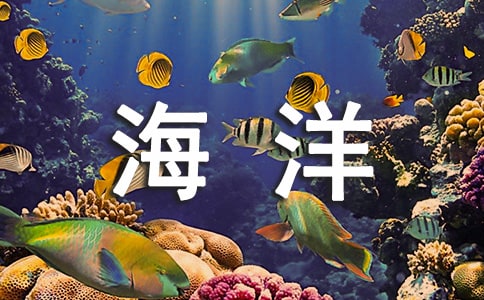海洋經濟發(fā)展與海洋環(huán)境保護問題