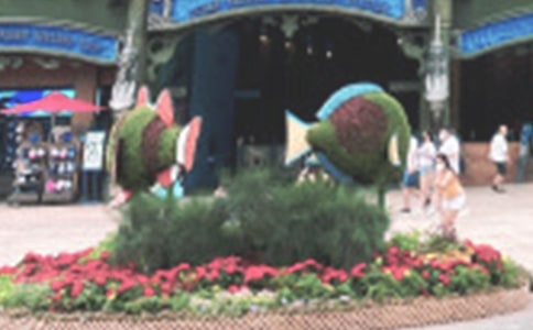 �O�غ��󹫈@����