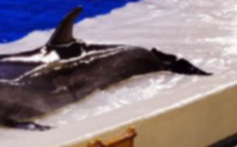 ������ͺ��ࡷ�̌W(xu��)�O(sh��)Ӌ(j��)