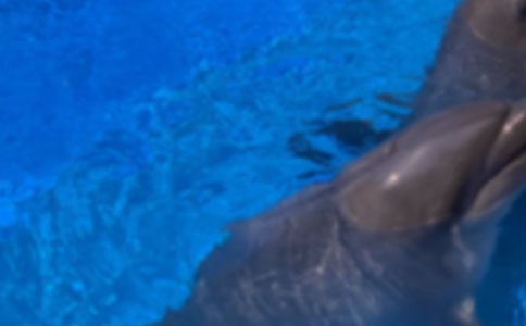 [��(sh��)��]�������������6ƪ