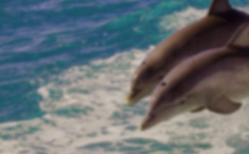 24*�������