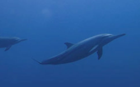 ������������ģ�ͨ��20ƪ��