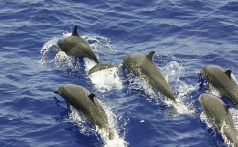 ������������ă�(y��u)�㣨���x25ƪ��