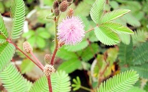 ���߲ݵ����܃�(y��u)������