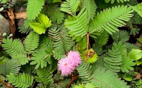 �ɐ۵ĺ��߲�����15ƪ