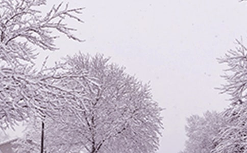 ���º������u���ģ�ͨ��38ƪ��