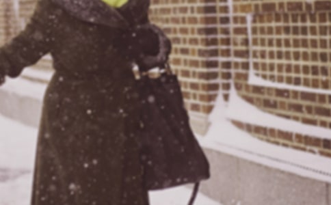 迎接寒潮作文范文(精選12篇)