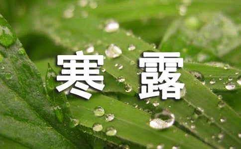 寒露節(jié)氣經(jīng)典句子