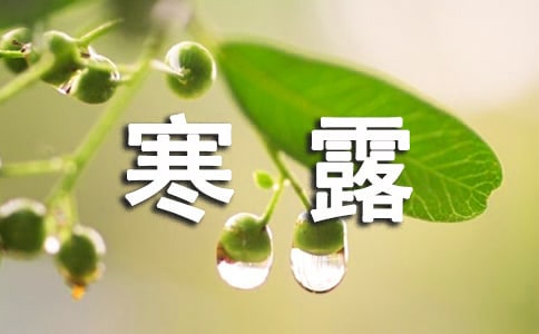 寒露的句子