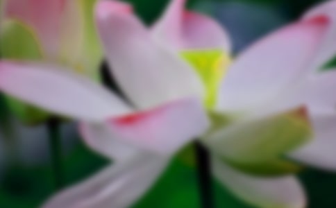 2023��ͨ�����ݺɻ��ľ���21�l