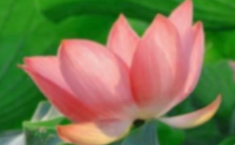 �ɻ���(y��u)������[�ϼ�15ƪ]