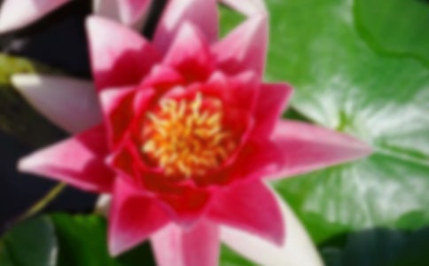 �ɻ�������