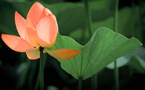 �P(gu��n)�ںɻ�С�W(xu��)����3ƪ