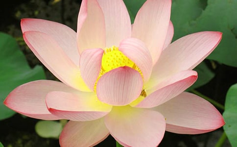 2023�����ݺɻ��ľ���28��