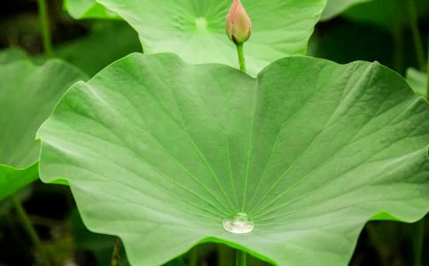 �P(gu��n)�ں��~������