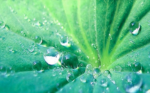 �����~�A�A���Ľ̰�