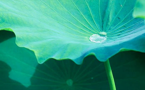 �����~�A�A���̌W(xu��)�O(sh��)Ӌ(j��)����