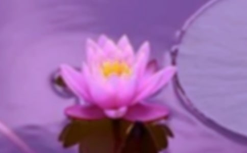 ���C���(hu��)