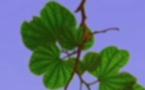 立足職能 發(fā)揮優(yōu)勢(shì) 努力為構(gòu)建社會(huì)主義和諧社會(huì)服務(wù)