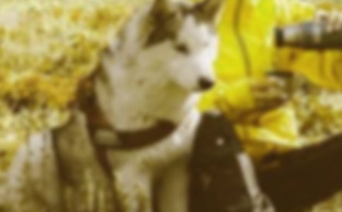 �ӏ�����F�Y(ji��)�M�� ���M�����(w��n)�����C�����R��