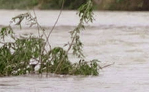 長江洪水與生態(tài)建設(shè)