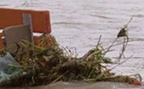 ���Ϻ�ˮ����