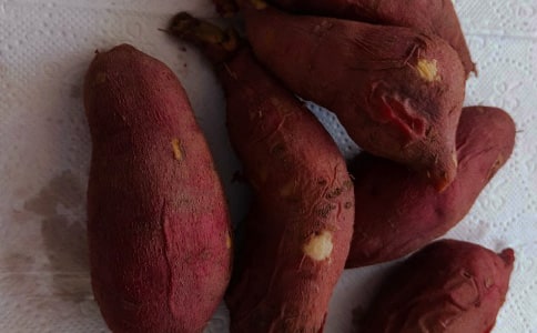 ���������t������15ƪ