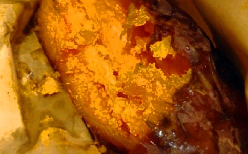 ���t�����ģ����x43ƪ��