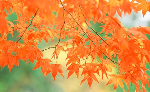 ɽ�С����t�~Ԋ�Ľ���ƪ