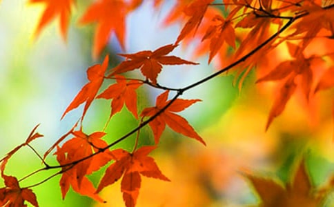 ��ϼ�t�~����