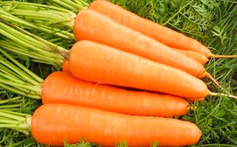 �����}���������L���ӡ��m(x��)������