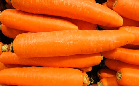 (�؂�)���}������15ƪ