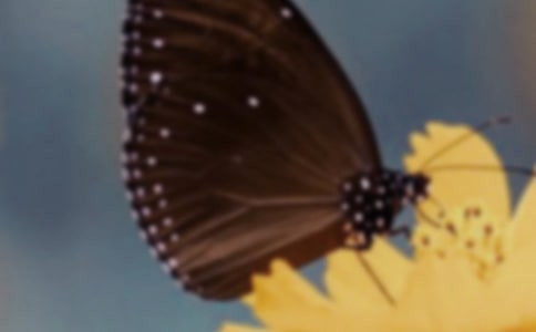 ���������ġ��]��