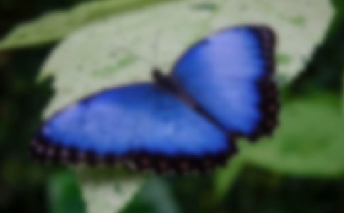 �������ļҡ��Ľ̌W(xu��)�O(sh��)Ӌ