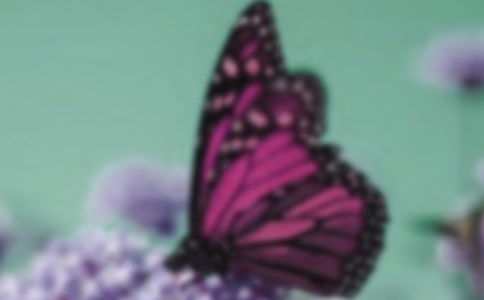 ��஋(hu��)�������g(sh��)�̰�