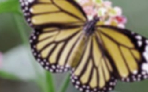 �۷�ͺ�������