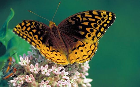 �����Ć�ʾ��(y��u)������