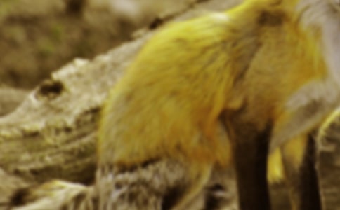 ��؂�͞��f������