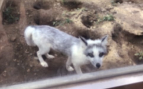 С��؂�u�՚�