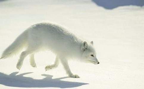 ��؂�͞��f�ă�(y��u)������