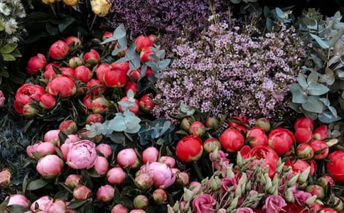 �o���A(ch��)�_�����\�I���������x6ƪ��